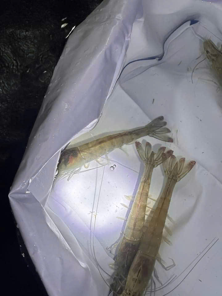 z7260904694398_652c3d2ccf9efa176da15bfa50a59ac5 z7260904694398_652c3d2ccf9efa176da15bfa50a59ac5