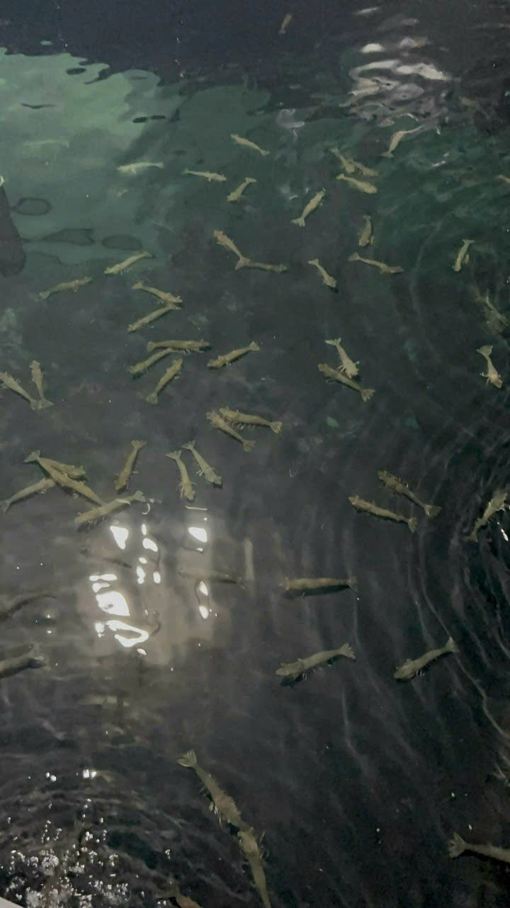 z7260904704619_436600eb74fa3e0505bc109afd0f7536 z7260904704619_436600eb74fa3e0505bc109afd0f7536