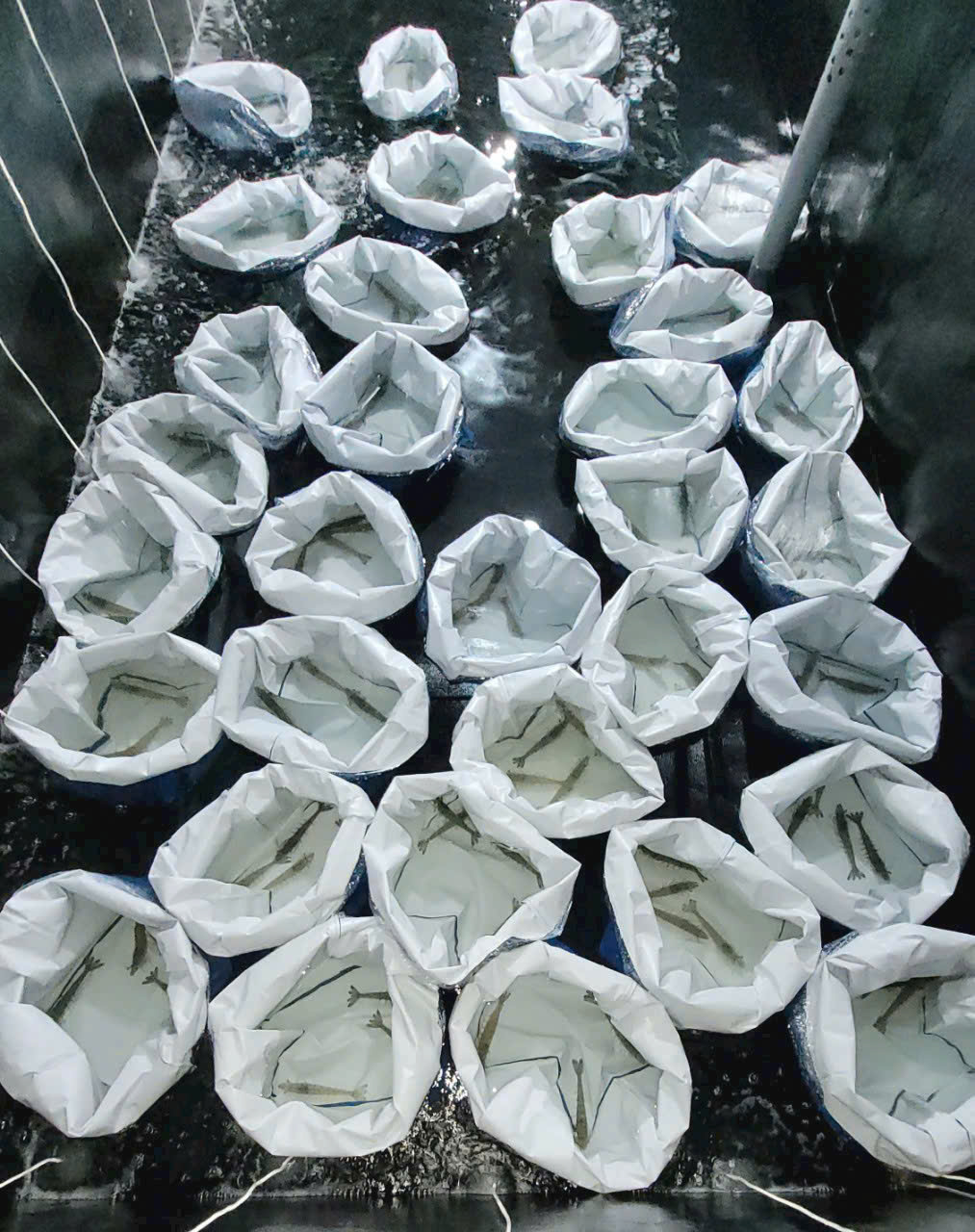 z7260904718487_ba73a330eddc1601b977724100ca2ce0 z7260904718487_ba73a330eddc1601b977724100ca2ce0