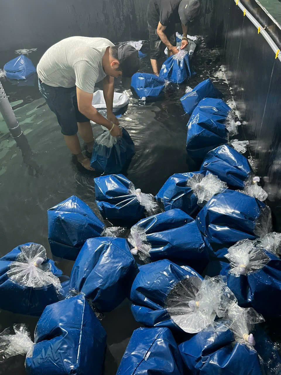 z7260904723339_23b95a903258ac5d5f1f84bc38ff48bc z7260904723339_23b95a903258ac5d5f1f84bc38ff48bc