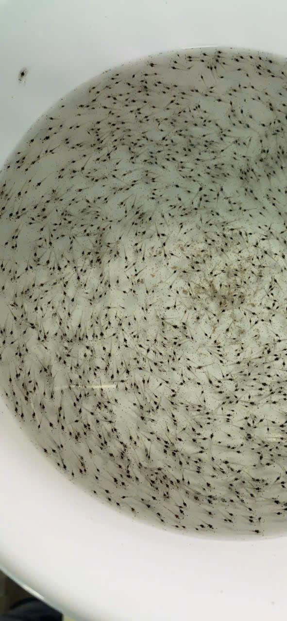 z7260904736987_9ac54e4535883a163697deb6f6eed2f9 z7260904736987_9ac54e4535883a163697deb6f6eed2f9