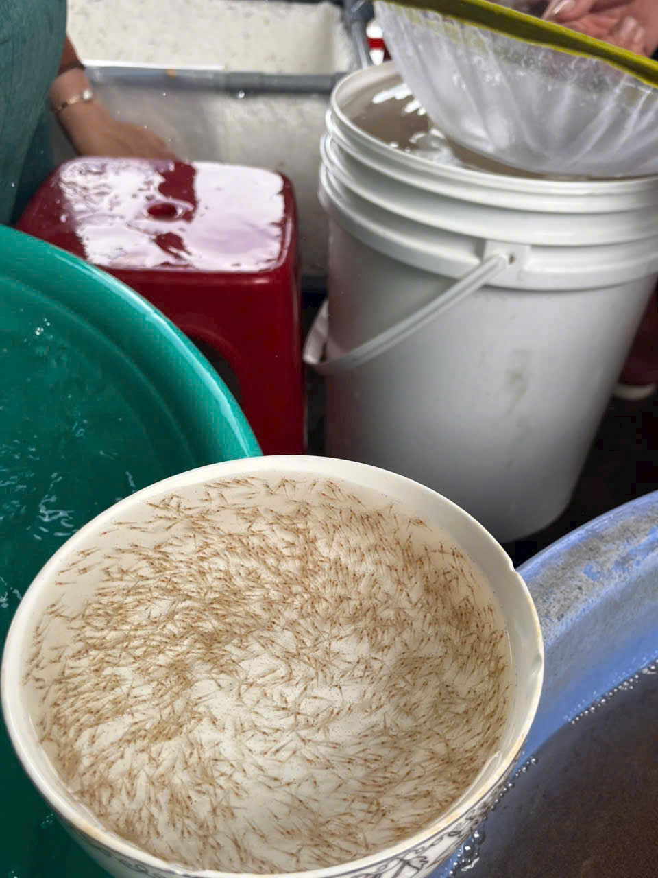 z7260904912245_3176844ba459baff63c7df8f9b56749a z7260904912245_3176844ba459baff63c7df8f9b56749a