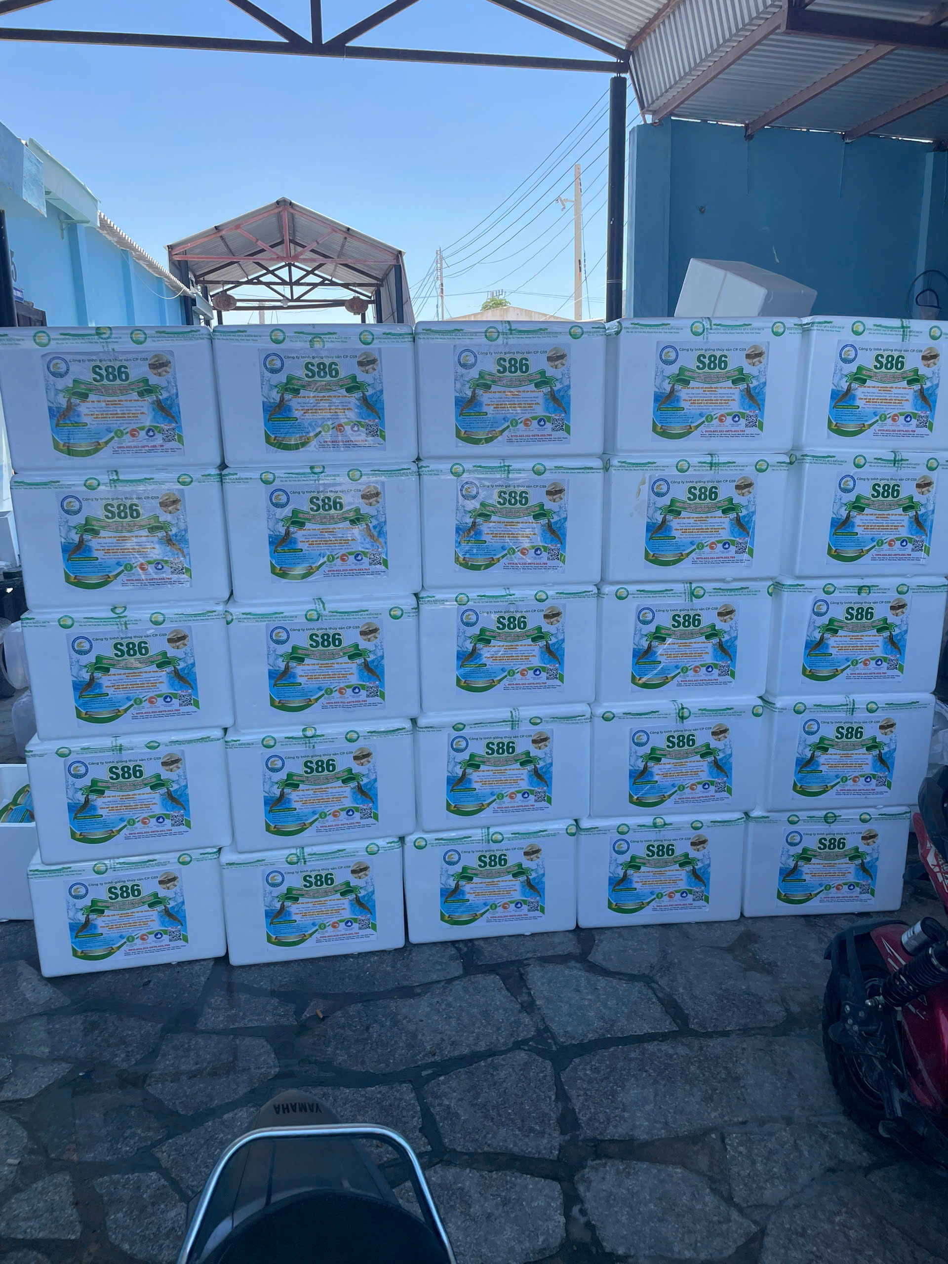 z7260911310232_eeafc80769b42f866cf0116b2c78f0d7 z7260911310232_eeafc80769b42f866cf0116b2c78f0d7