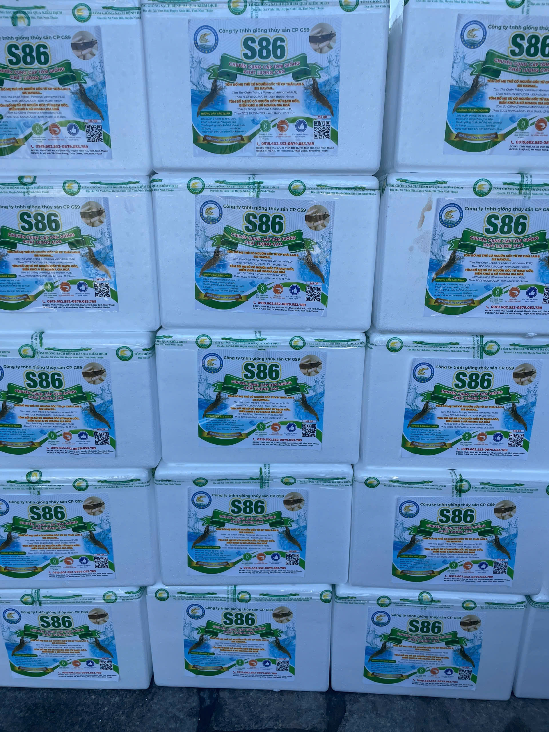 z7260911317991_2c0b781718c7a669c3c10335d6051a2a z7260911317991_2c0b781718c7a669c3c10335d6051a2a