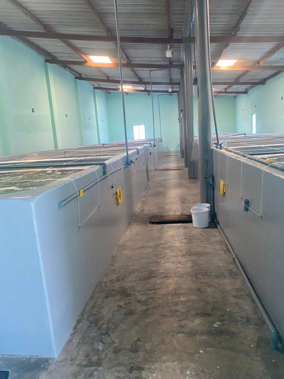 z7260911369119_9c0ceacad962d7a33577203f06661aa4 z7260911369119_9c0ceacad962d7a33577203f06661aa4