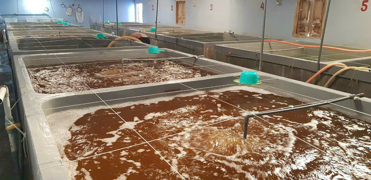 z7260911404793_25b8df9948a50f84efaeef3cf6eba783 z7260911404793_25b8df9948a50f84efaeef3cf6eba783