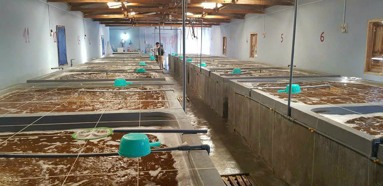 z7260911424656_308905deeed93131a53925b891a2a8df z7260911424656_308905deeed93131a53925b891a2a8df