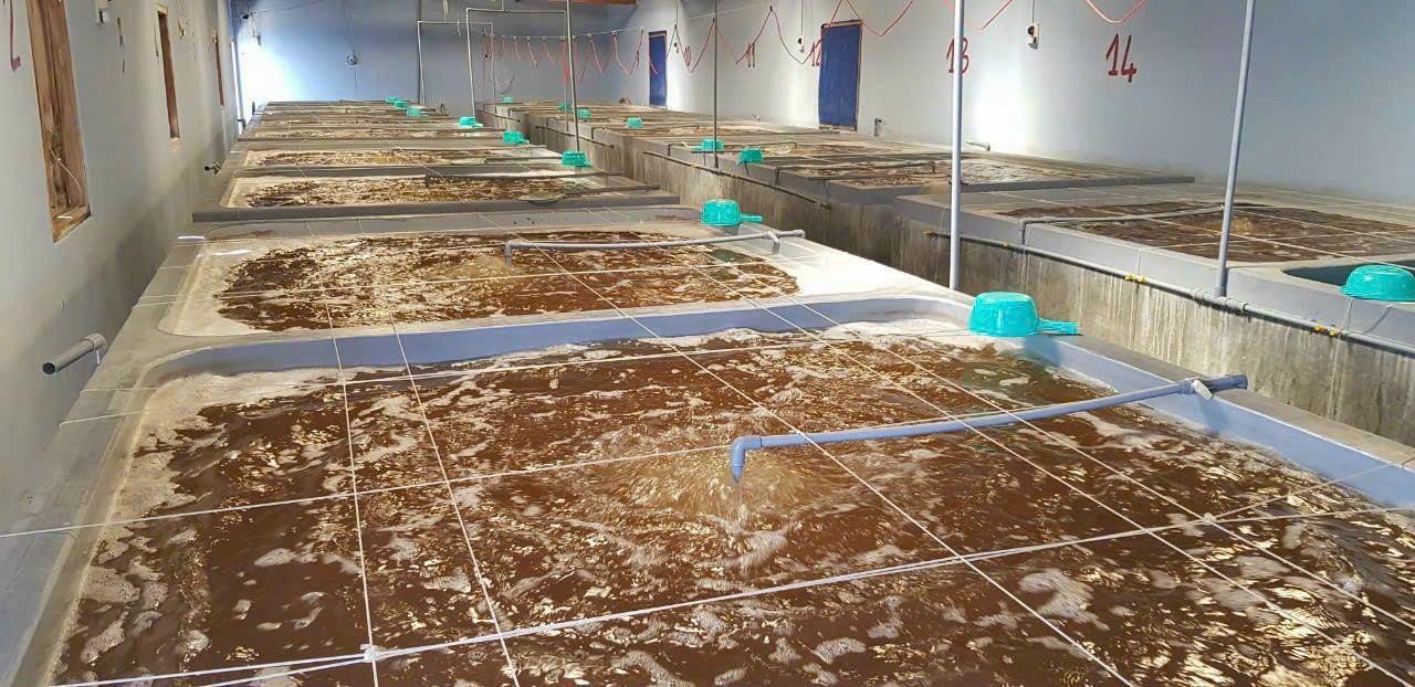 z7260911446146_044b135f3f4f55afb5e70e46b8089bde z7260911446146_044b135f3f4f55afb5e70e46b8089bde