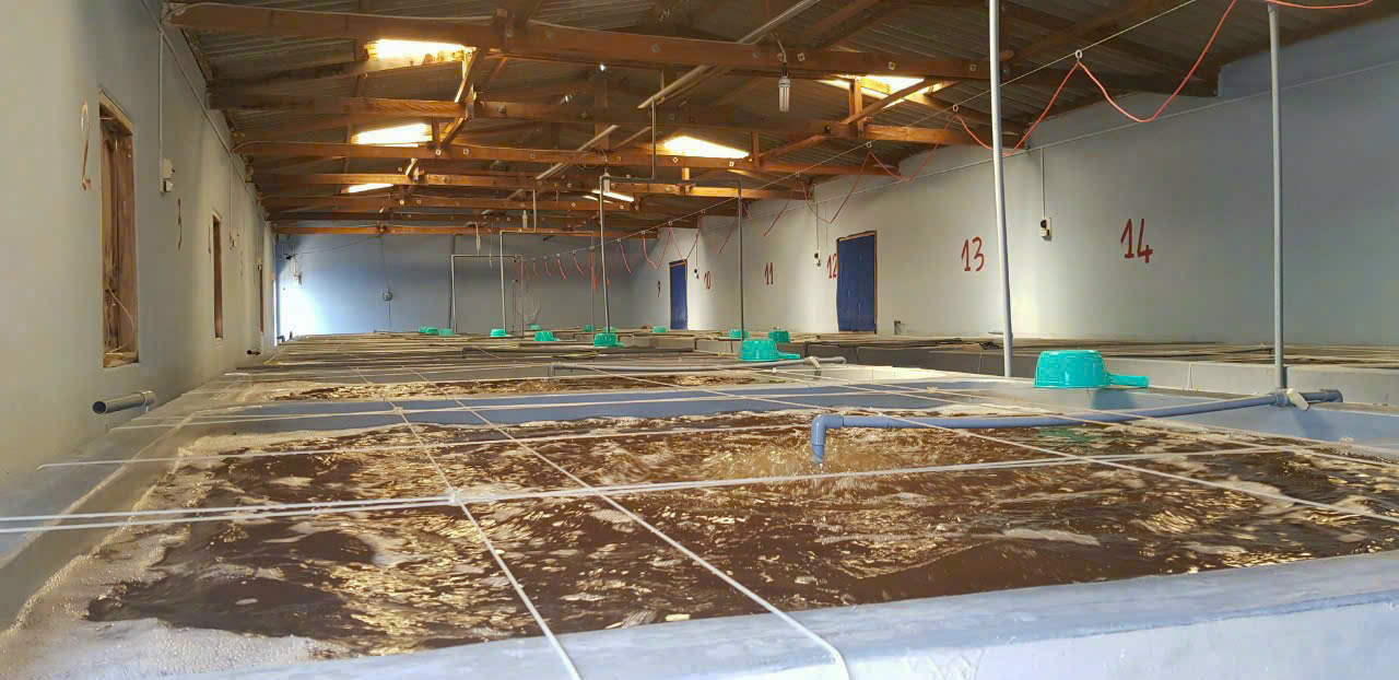 z7260911450518_81ddd08a3945ea5c35f945e4f817ef7e z7260911450518_81ddd08a3945ea5c35f945e4f817ef7e