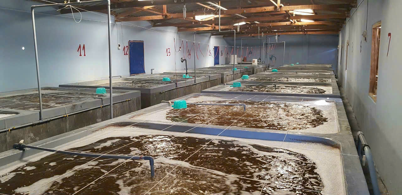 z7260911458679_ee8b9a8e4051191dc73e0c2ef5e7575a z7260911458679_ee8b9a8e4051191dc73e0c2ef5e7575a