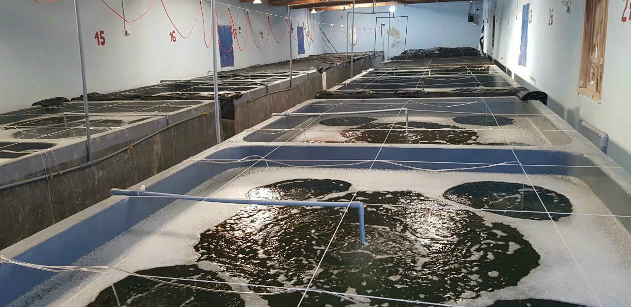 z7260911464376_e8de8fc71aa89ba68eab5b4d6d5aee0c z7260911464376_e8de8fc71aa89ba68eab5b4d6d5aee0c