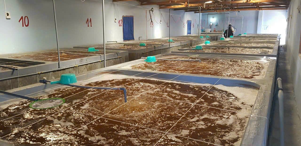 z7260911471213_6d912723a61ab9b49bde4f099e45a980 z7260911471213_6d912723a61ab9b49bde4f099e45a980