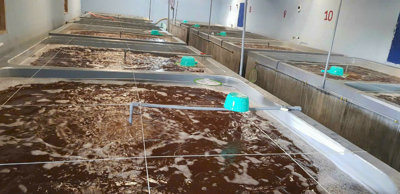 z7260911485560_b1d6e33c76e6df16d6deb50301d902de z7260911485560_b1d6e33c76e6df16d6deb50301d902de