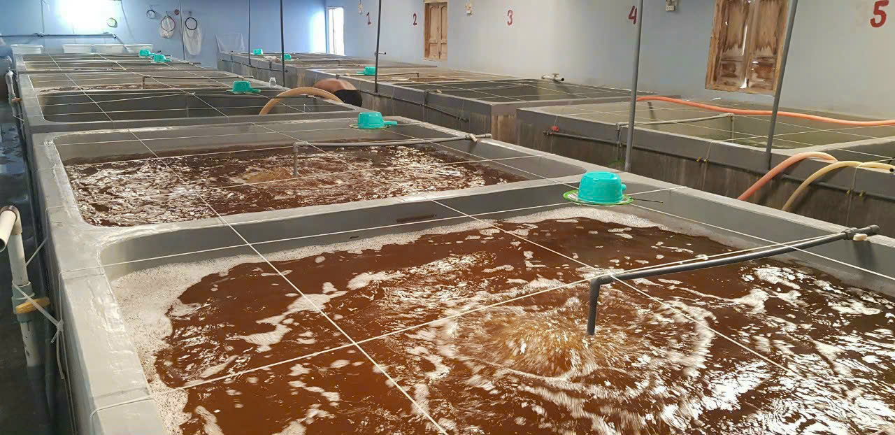 z7260911491383_615370413153b7283a86f007e34a7e9a z7260911491383_615370413153b7283a86f007e34a7e9a