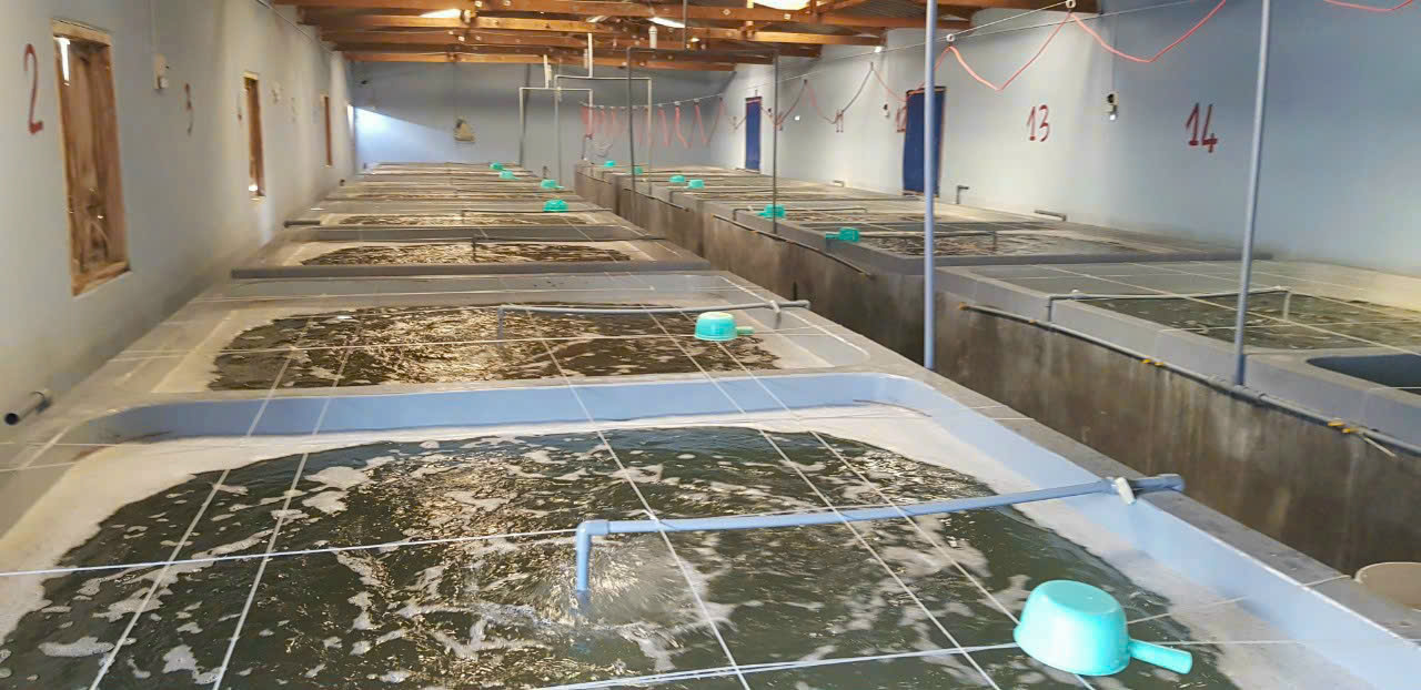 z7260911497200_19659e44d46e583ff2a97e57c91bdb71 z7260911497200_19659e44d46e583ff2a97e57c91bdb71