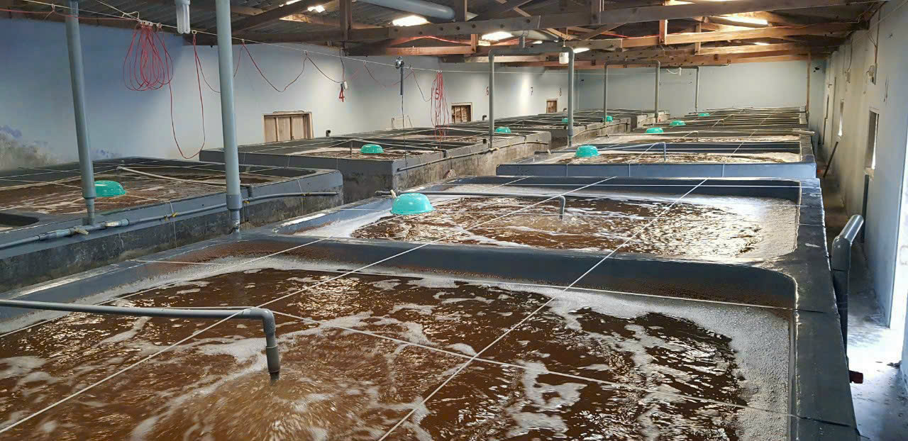 z7260911505888_6016c86ebe3cb88ca896cedb076407fb z7260911505888_6016c86ebe3cb88ca896cedb076407fb