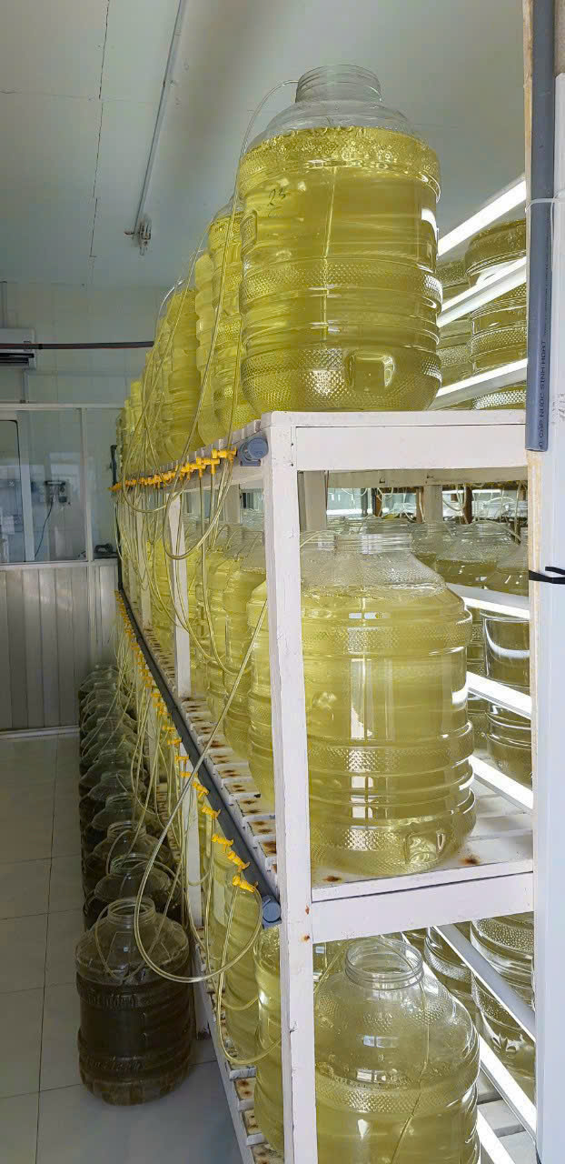 z7260913551269_a851f500d1537017e0d25d1b52f6b1c8 z7260913551269_a851f500d1537017e0d25d1b52f6b1c8