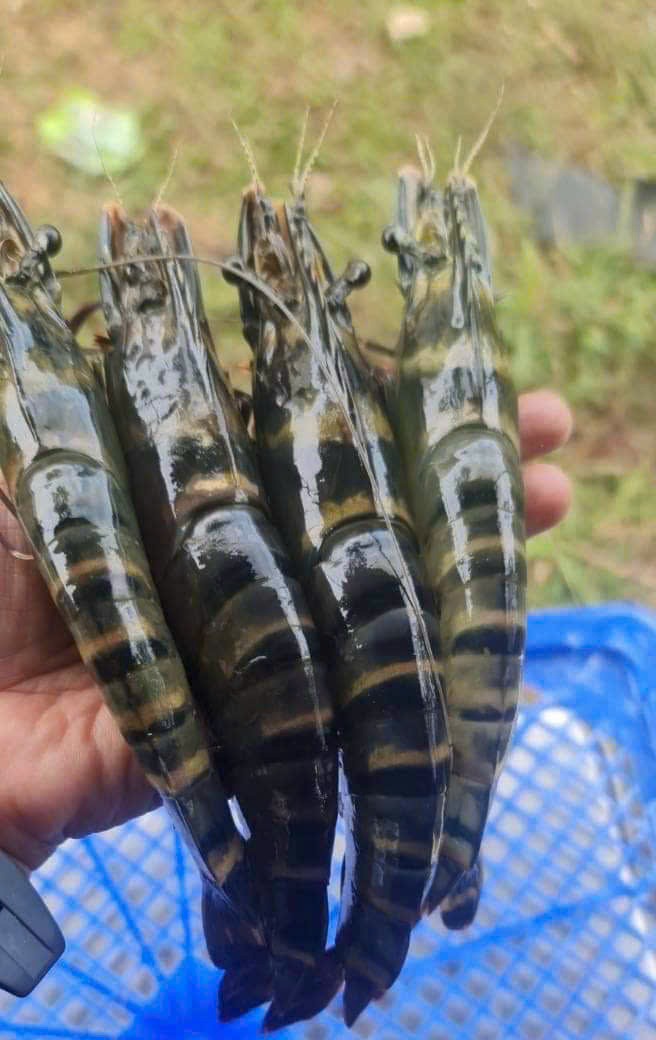 z7260918313310_61542af756a74613baa489e0ae2663e2 z7260918313310_61542af756a74613baa489e0ae2663e2