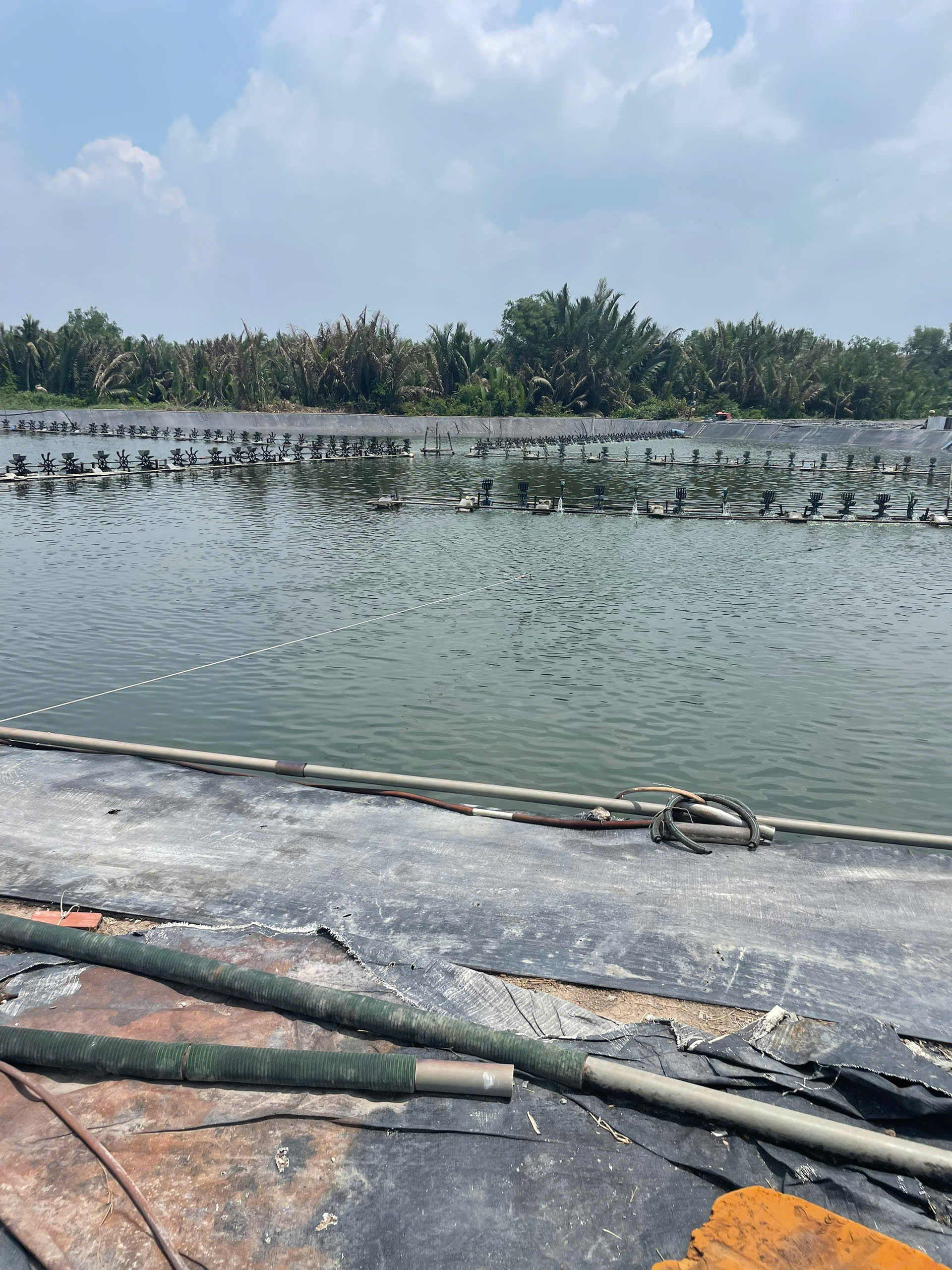 z7260918319521_8233e00aad65ef9b569ae7b8fffa31b2 z7260918319521_8233e00aad65ef9b569ae7b8fffa31b2