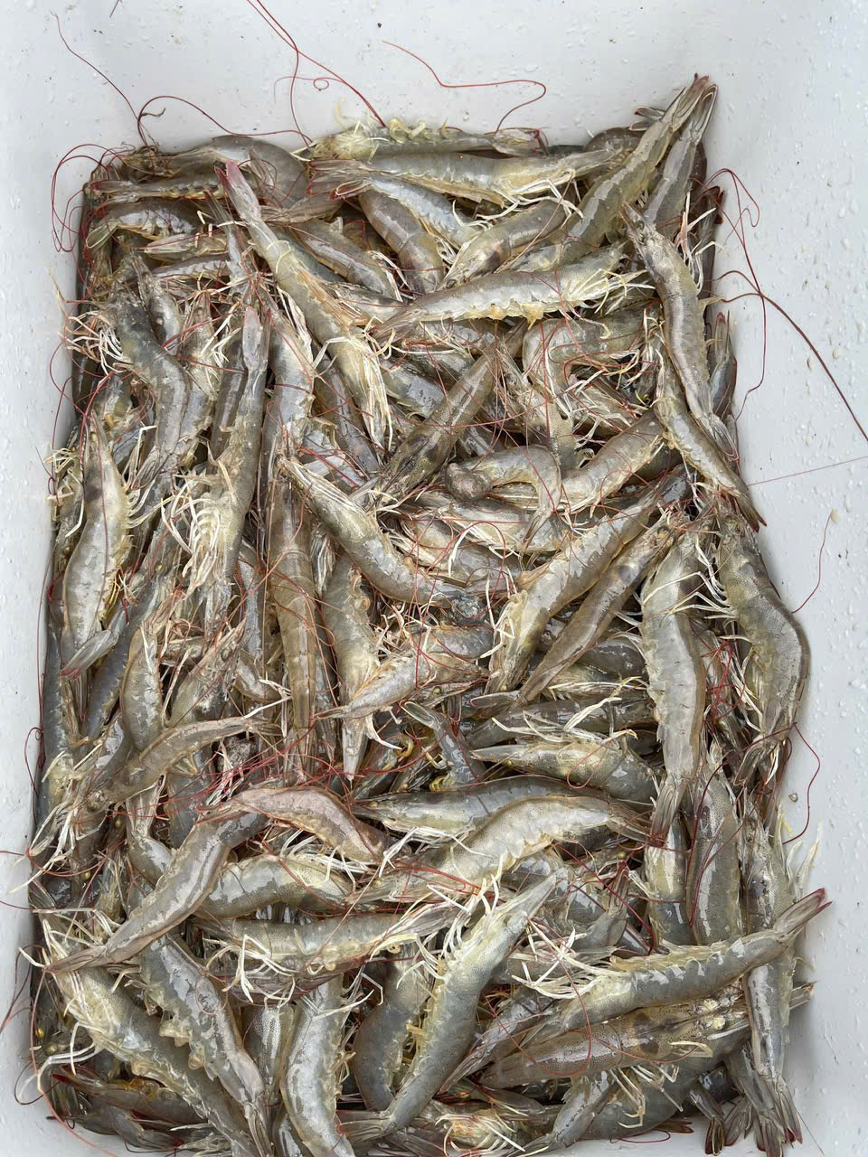 z7260918327534_4f9f6031ed371260fa0a89a350c3e18f z7260918327534_4f9f6031ed371260fa0a89a350c3e18f