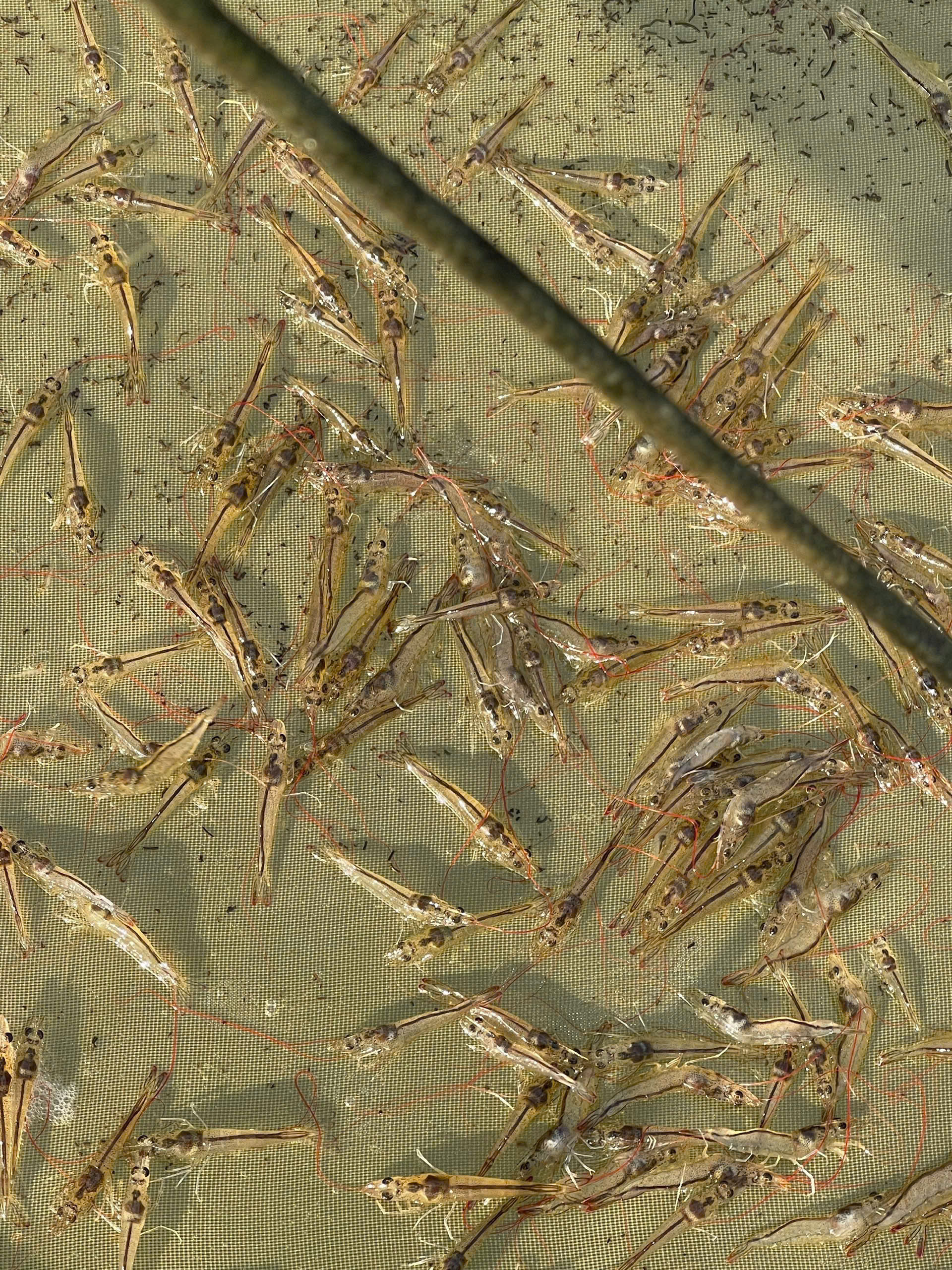 z7260918335366_0d24fee2b4eefe42cf96de3c1e81c17b z7260918335366_0d24fee2b4eefe42cf96de3c1e81c17b