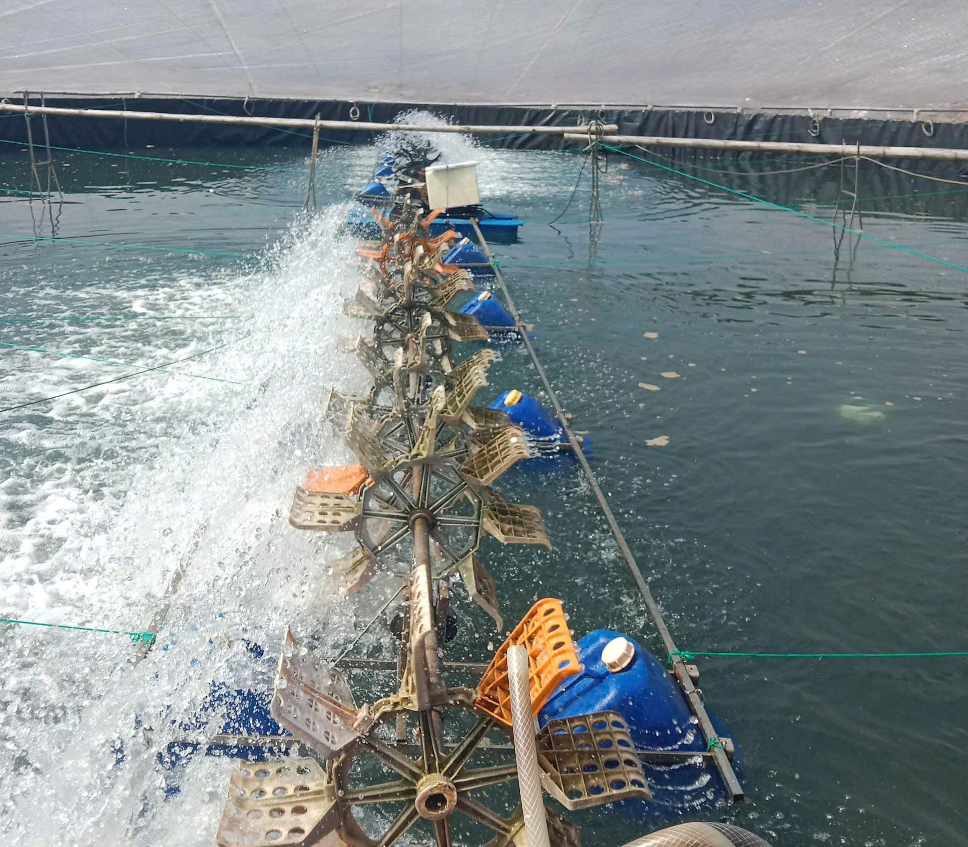 z7260918342717_feb855e0276c6e1665e6b09afafe3dff z7260918342717_feb855e0276c6e1665e6b09afafe3dff