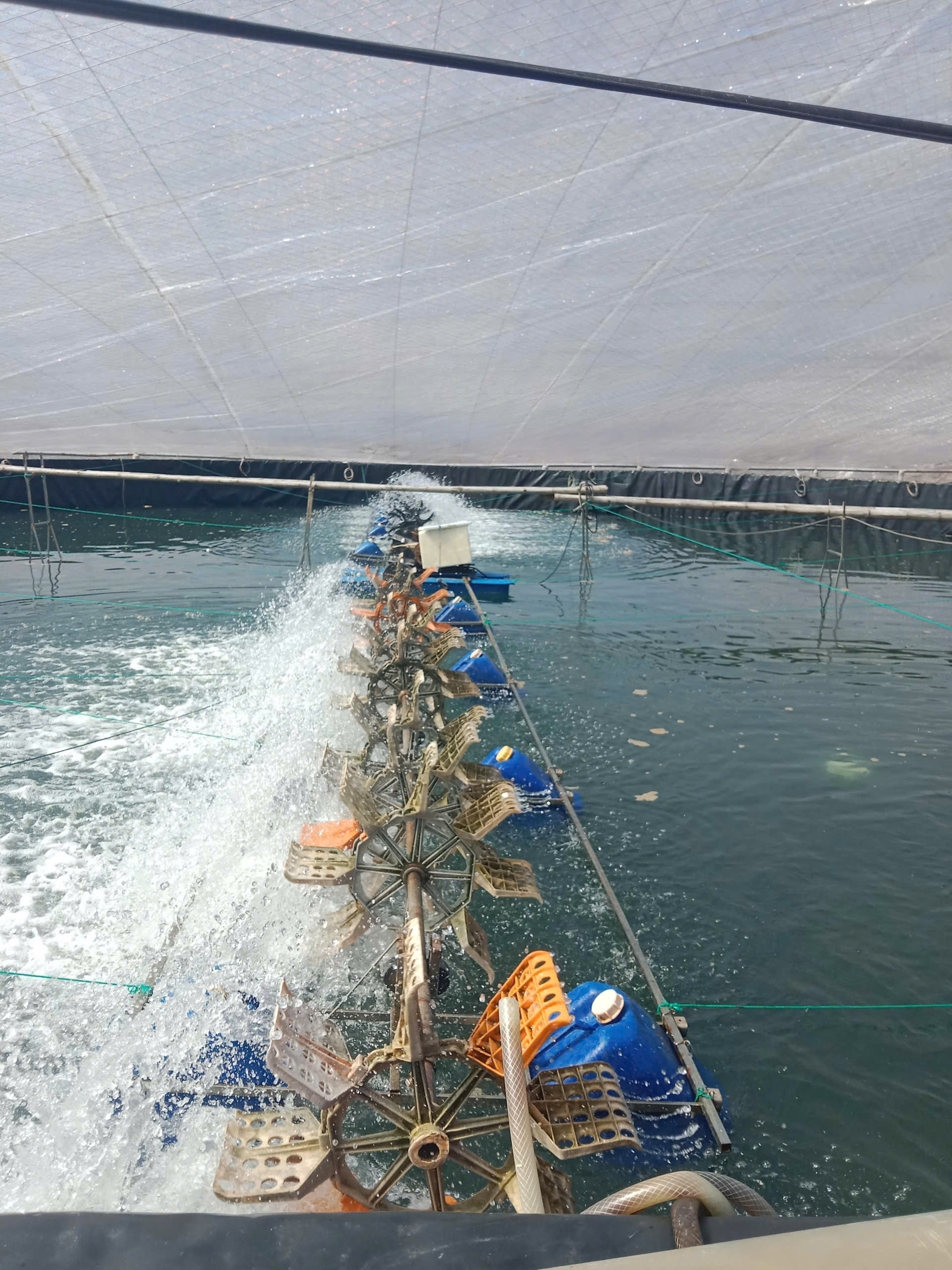 z7260918342717_feb855e0276c6e1665e6b09afafe3dff z7260918342717_feb855e0276c6e1665e6b09afafe3dff