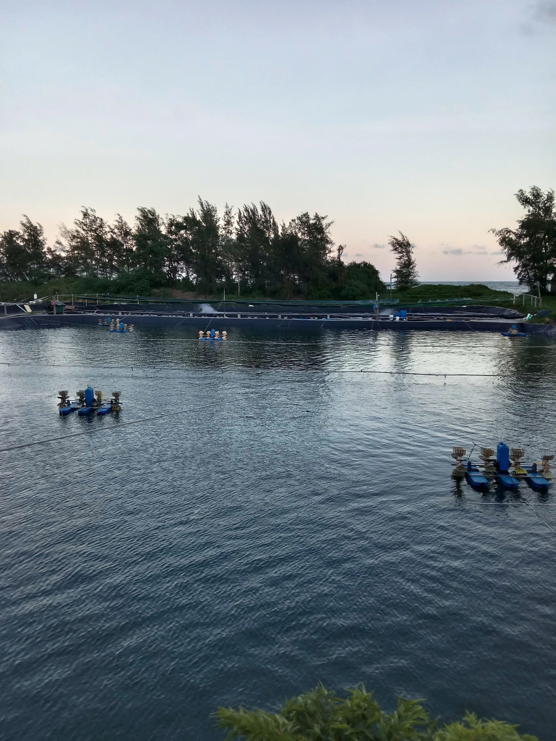 z7260918347681_9ae5b0452cbfdeffbb2abf0107adb4f7 z7260918347681_9ae5b0452cbfdeffbb2abf0107adb4f7