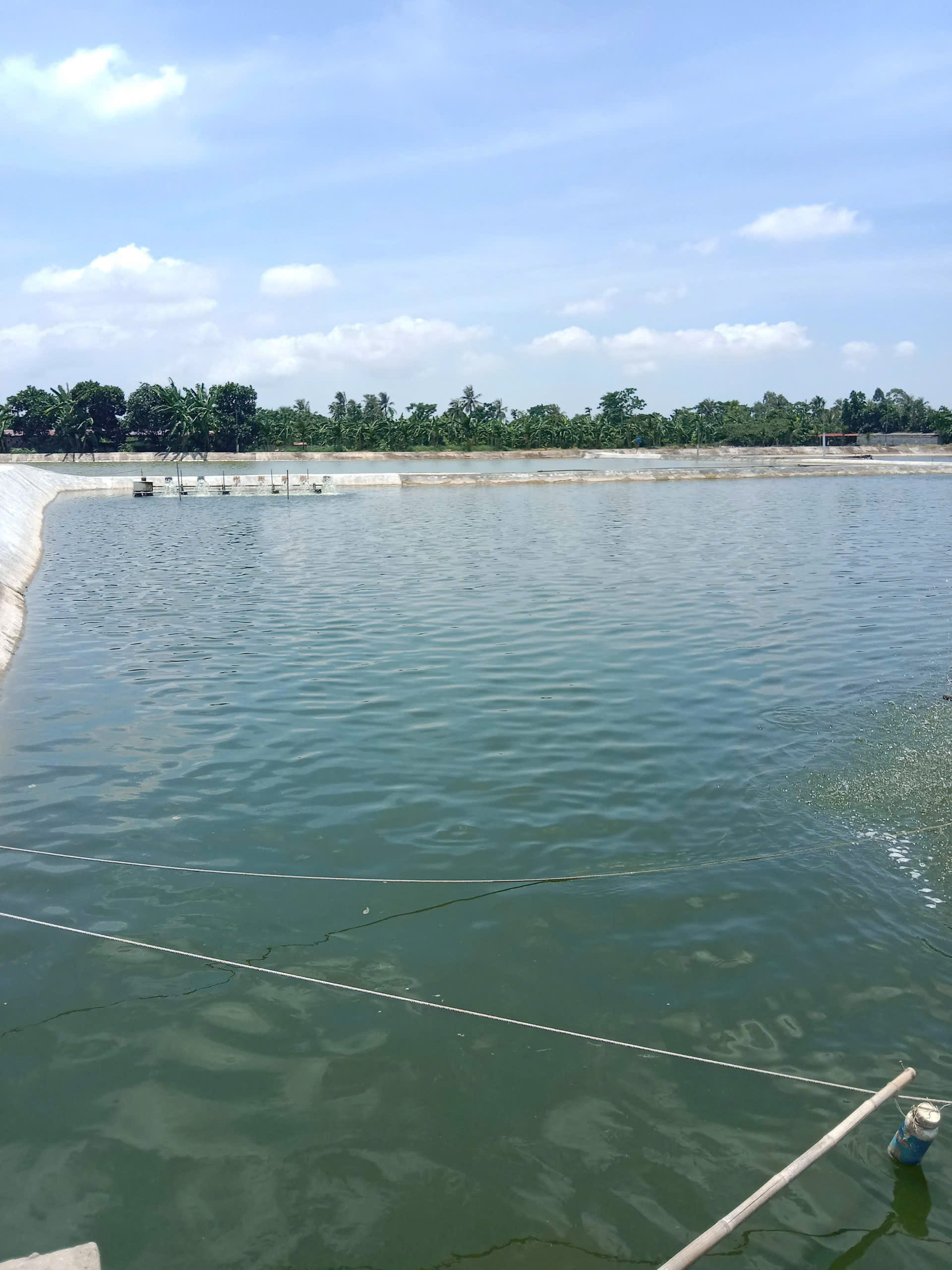 z7260918367311_e1366a8aed72336dfecfe2e7cff80931 z7260918367311_e1366a8aed72336dfecfe2e7cff80931