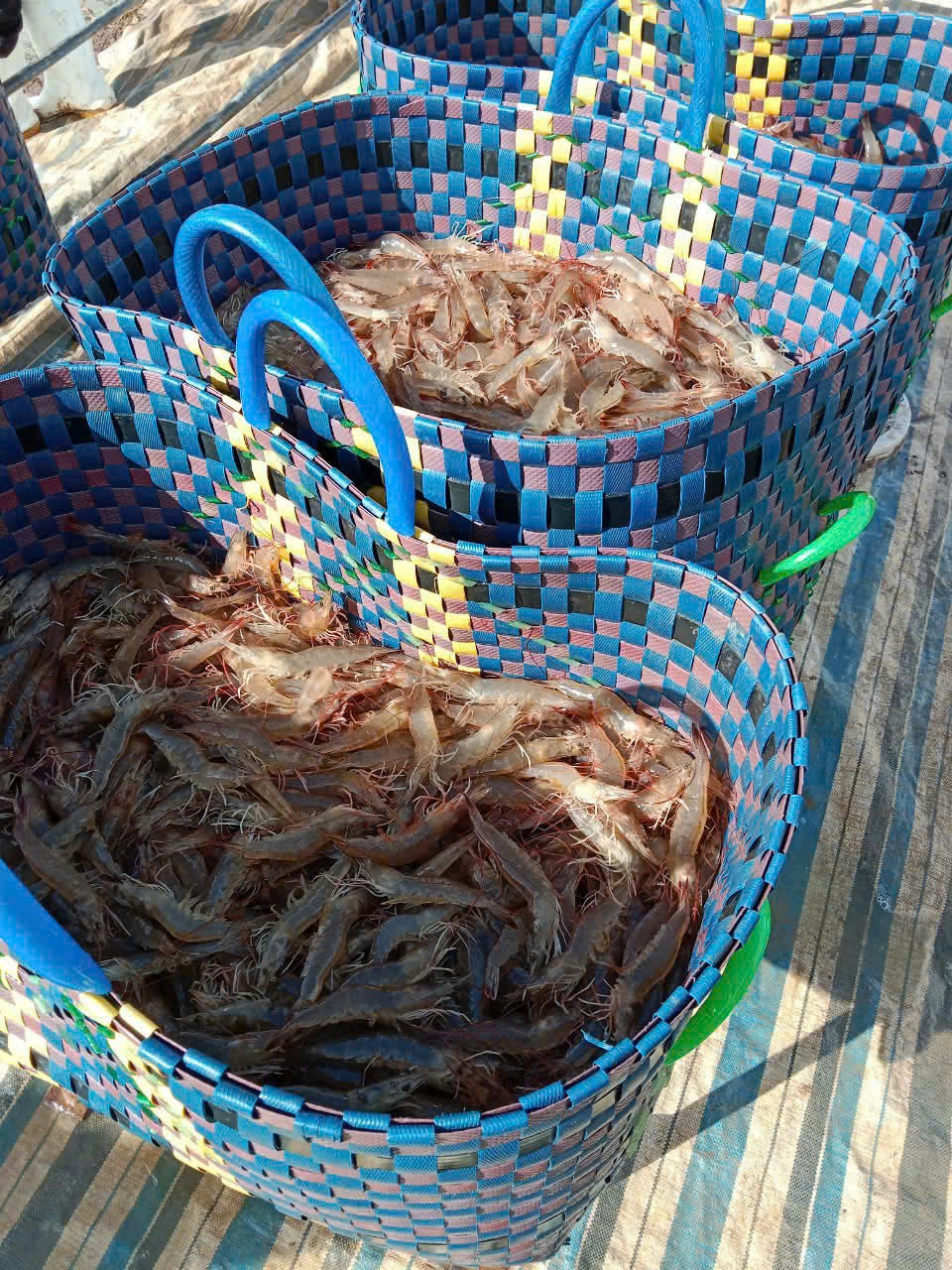 z7260918376203_f48f8996bf5c09809e3bb6eccd1efa98 z7260918376203_f48f8996bf5c09809e3bb6eccd1efa98