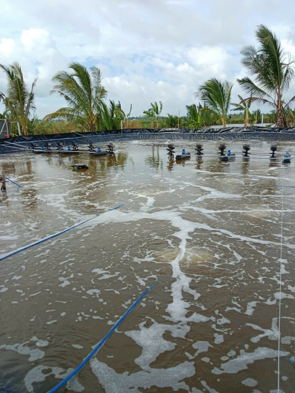 z7260918388349_c7e96a541bf0f93687230e9e4e22cd8e z7260918388349_c7e96a541bf0f93687230e9e4e22cd8e