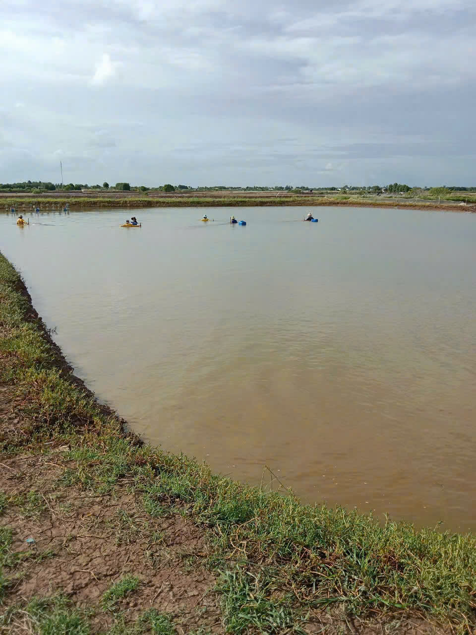 z7260918395038_bacabaaab7fb8b288902e895aa5e8fe4 z7260918395038_bacabaaab7fb8b288902e895aa5e8fe4